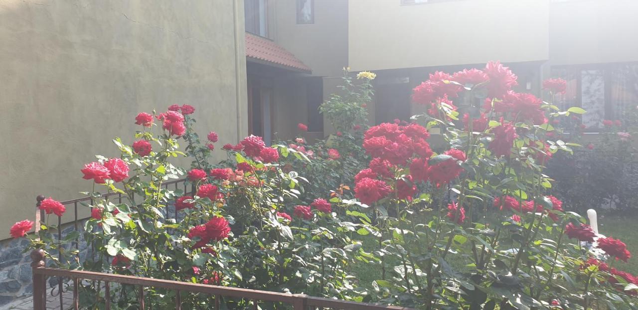 Villa Mugur 2 ไม ภายนอก รูปภาพ