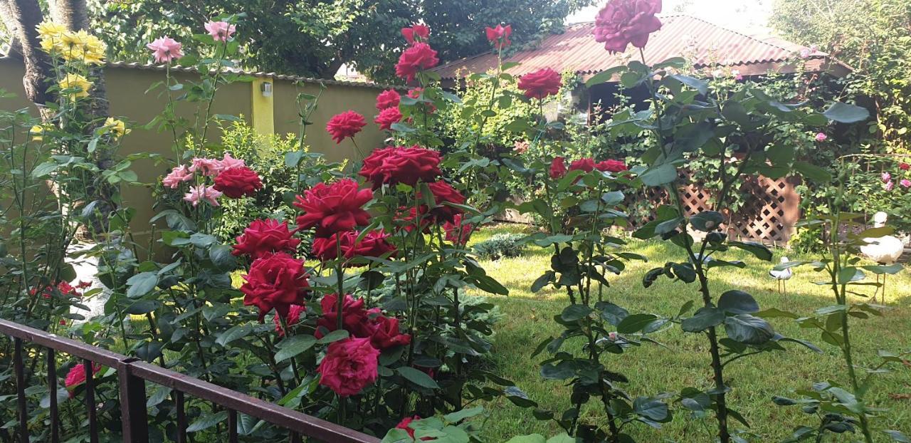 Villa Mugur 2 ไม ภายนอก รูปภาพ